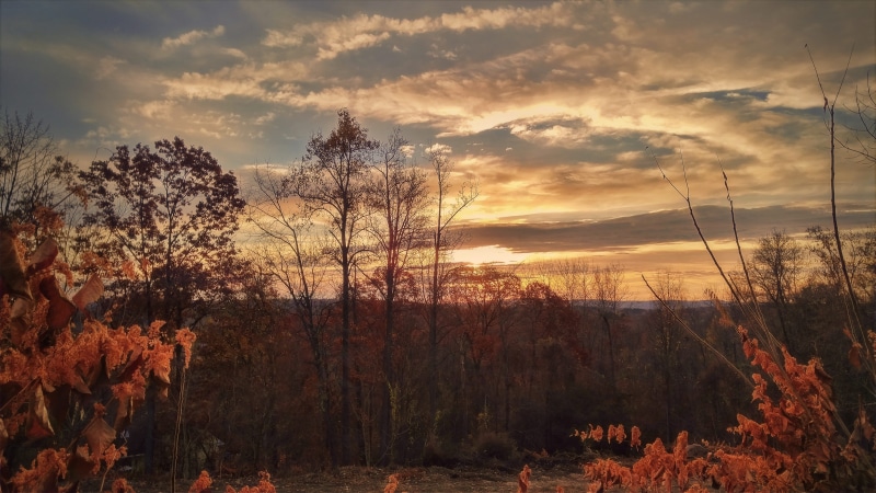 daylight, clouds, non-urban scene, foliage, landscape, orange color, outdoors, land, idyllic, fall, cloud - sky, dawn, tranquil scene, sky, trees, plant