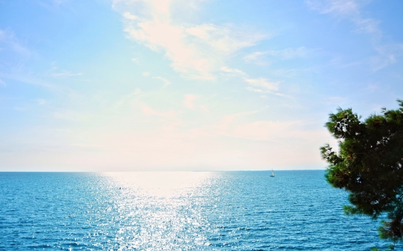 day, tree, water, tranquil scene, horizon over water, cloud - sky, outdoors, beauty in nature, waterfront, nature, windows backgrounds nature for pc 1920x1200