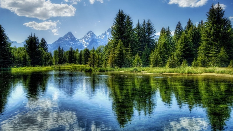 tranquility, tree, water, lake, tranquil scene, non-urban scene, pine tree, coniferous tree, reflection, idyllic, waterfront, no people, growth, nature full hd image 1920x1080