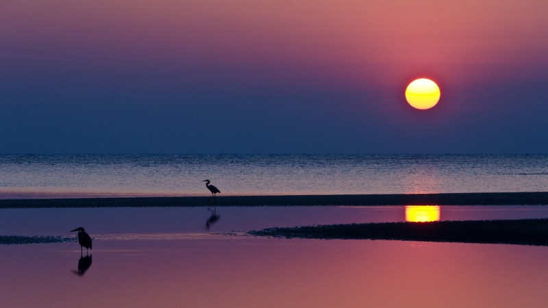 pc  nature hd pictures 1920x1080, 1080P