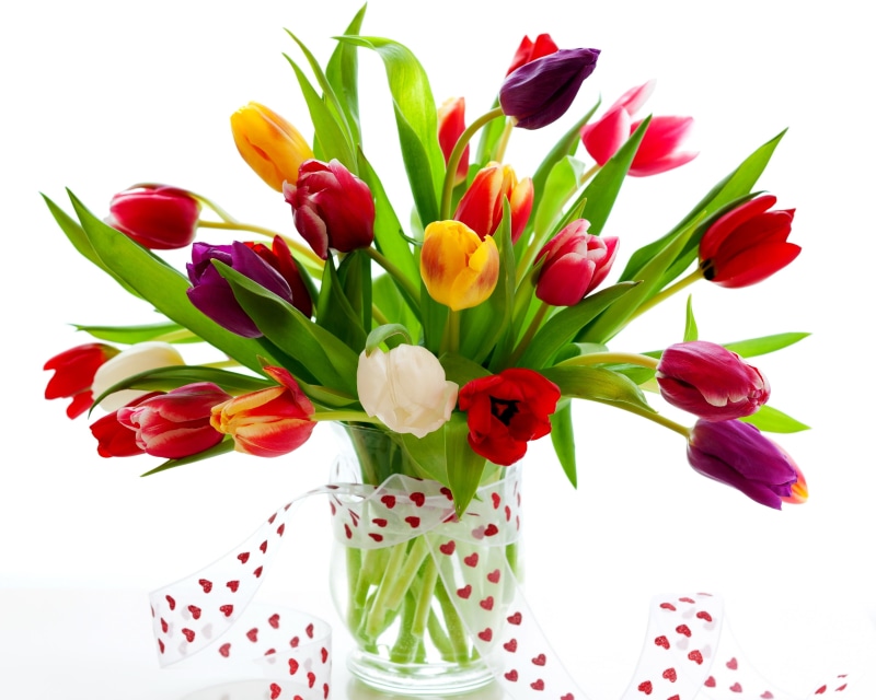 greenery, vase, bouquet, multi Colored, holiday, colors, pink Color, inflorescence, petal, decoration, studio shot, love, vulnerability, color, season