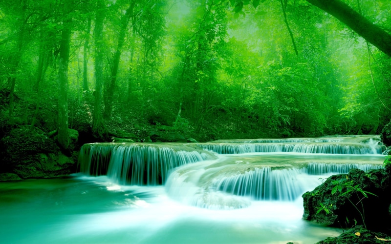 foliage, 2K, rocks, trees, grenery, greenery, water, river