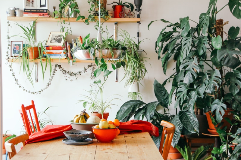 breakfast, weisenau, home, table, germany, bowl, crockery, full, interior, potted plant, mainz, fruit bowl, plant part, design, wooden, indoors, plant