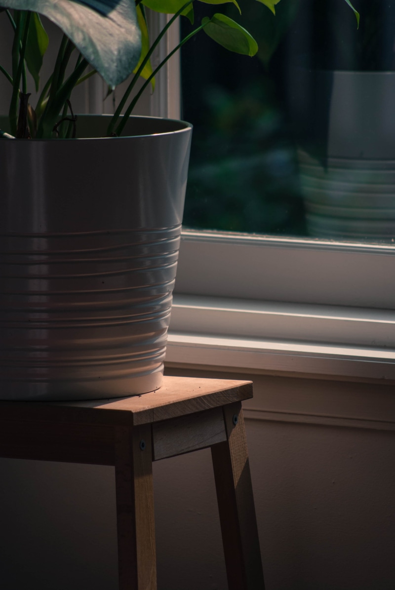 plant, close-up, day, glass - material, monstera, potted plant, flower pot, nature, table, 4K, no people, focus on foreground, window sill, growth, indoors
