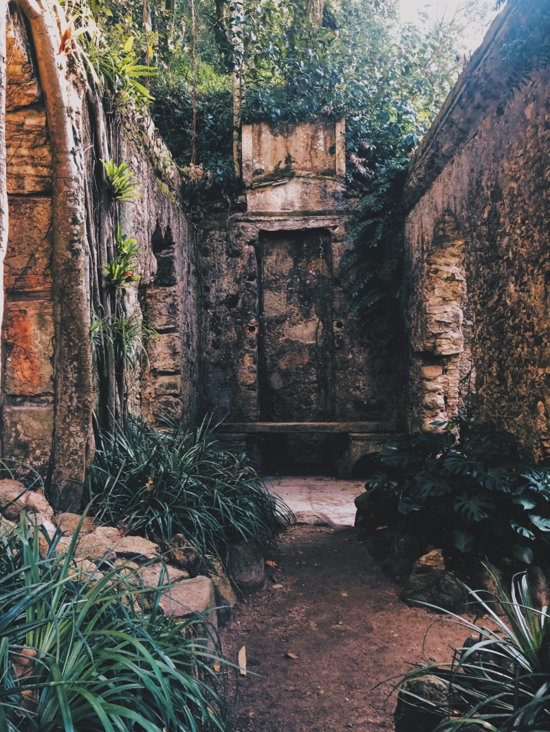 ancient, abandoned, history, garden, sintra, ruins, jungle, solid, growth, delapidating, built structure, travel, portugal, day, forest, old house, monstera