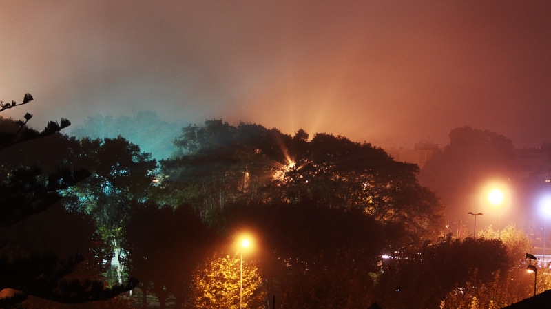 plant, dusk, sky, atmospheric phenomenon, illuminated, sunrise, dawn, land, cloud - sky, forest, tropical rainforest, atmosphere, wildfire, fire, fog, tree