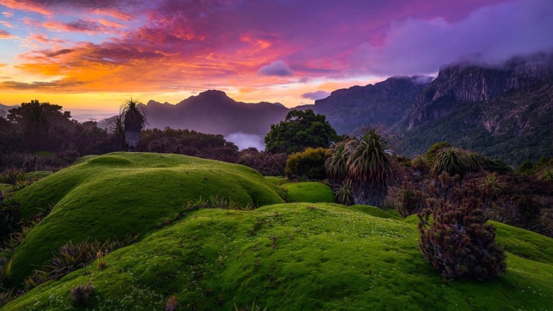 morning, grass, sunset, southwest national park, beauty in nature, tranquil scene, tree, mount scenery, grassland, sky, tranquility, mountain, national park