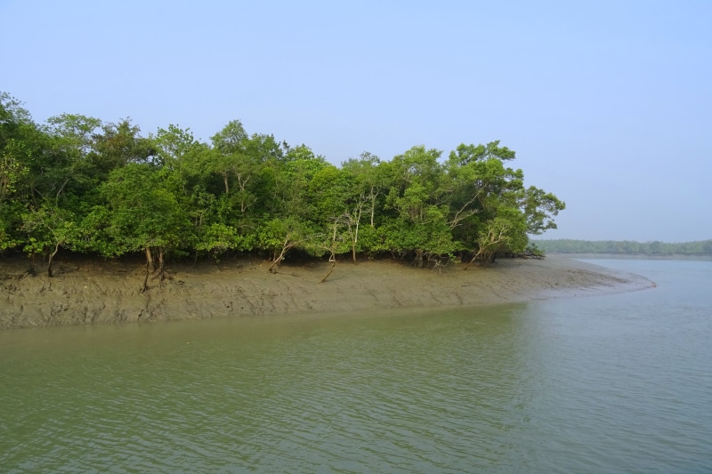 world heritage, flora, unesco, sky, non-urban scene, land, no people, green color, scenics - nature, forest, beach, water, india, swamp, lagoon, tranquility