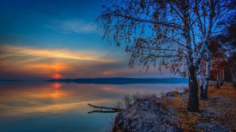 nature, calm, lake, brown, no people, Russia, birch, white, tree, landscape, tranquil scene, scenics - nature, reflection, withered, trees, plant, clouds