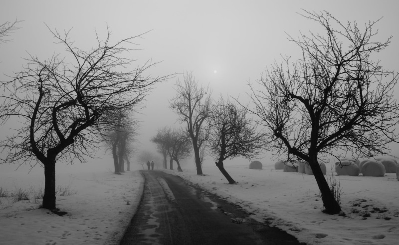tranquil scene, tree, direction, transportation, photography, tranquility, outdoors, 1080P, landscape, bare tree, cold temperature, fog, winter, sky, branch