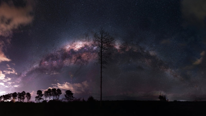 space, galaxy, stars, Milky Way, trees, environment, clouds, tranquil scene, tranquility, scenics - nature, silhouette, no people, night, sky, astronomy