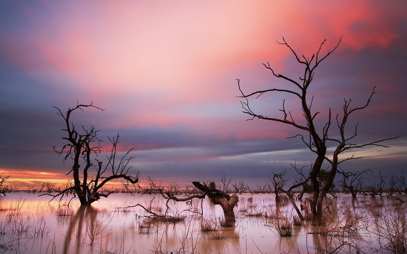 branch, sky, environment, 1080P, tranquil scene, sunset, beauty in nature, trees, landscape, tree, romantic sky, cloud - sky, nature, water, dramatic sky