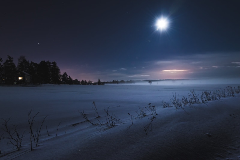 nikon  d600, frost, snow  field, nikkor, tree, distant, snow field, trees, near, 35mm, winter  moon, outdoor, field, house, withered, winter, nature, plants