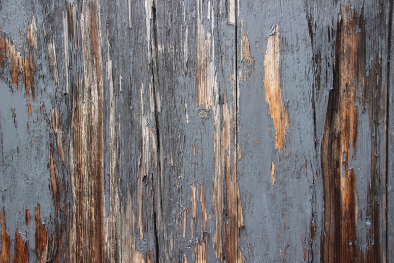 textured, bad condition, decline, pattern, metal, outdoors, backgrounds, plank, wood, rough, rusty, weathered, wood - material, full frame, gray, damaged