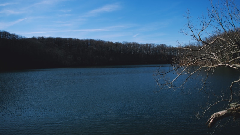 non-urban scene, water, forest, tranquil scene, land, withered, blue, growth, no people, remote, trees, lake, beauty in nature, 4K, scenics - nature, outdoors