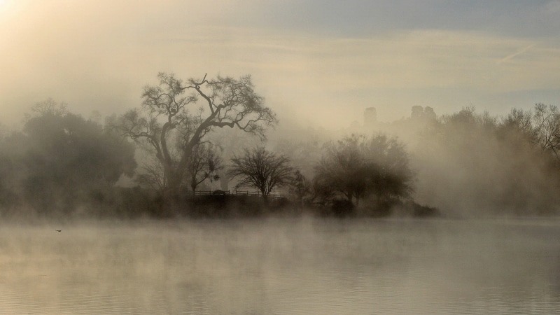outdoors, lake, scenics - nature, morning, tree, land, smog, 2K, sky, landscape, tranquil scene, tranquility, mist, withered, plant, fog, river, beauty in nature