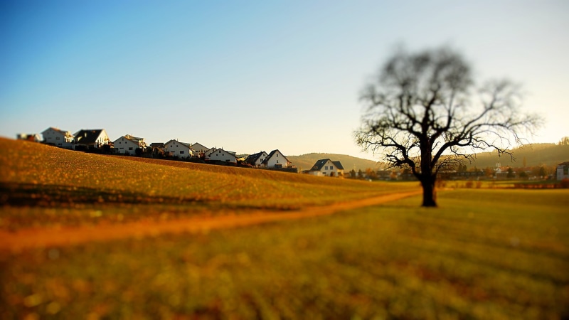 scenics - nature, building exterior, withered, outdoors, nature, landscape, house, tree, beauty in nature, built structure, architecture, tranquil scene