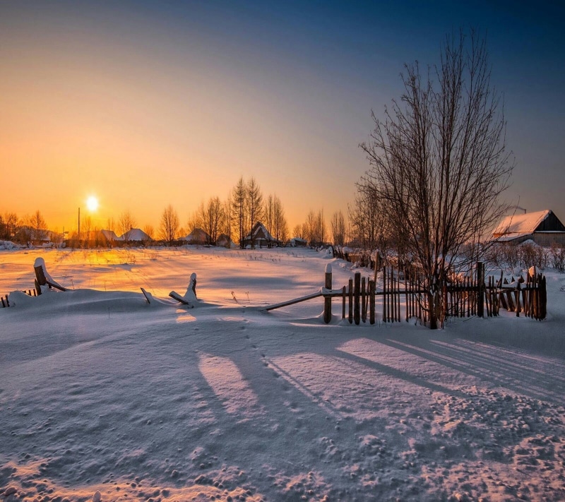 cold, no people, environment, brown, sunset, plant, tranquil scene, winter, cold temperature, withered, landscape, tranquility, field, land, tree, 720P
