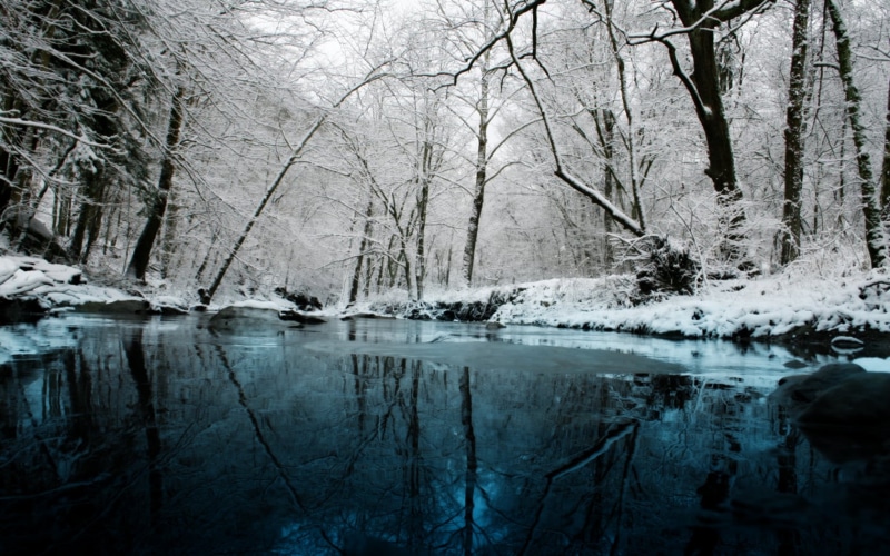 cold temperature, waterfront, winter, ice, frozen, woodland, nature, lake, plant, tranquility, water, withered, 720P, tree, outdoors, snow, forest, day
