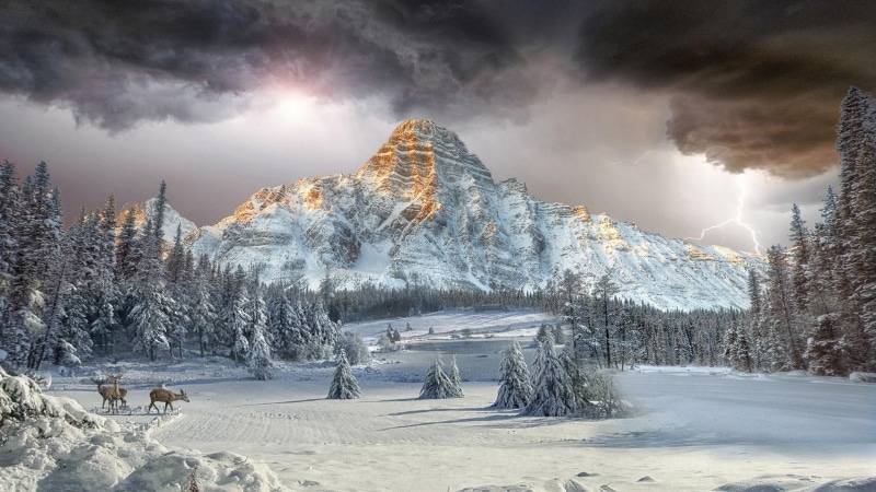 mountain, artistic, nature, sky, tree, phenomenon, cloud, artwork, frost, snow, winter, freezing, mountain range, morning, deer, 1080P, lightning, snnow