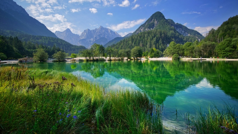 vegetation, mountain, wilderness, mount scenery, water resources, alps, apine lake, julian alps, bank, lake, reflection, nature reserve, sky, kranjska gora