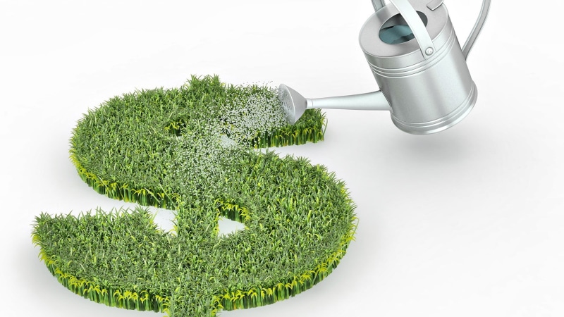 sustainable resources, money, watering, digital art, still life, 1080P, watering can, environmental conservation, container, green color, nature, cut out