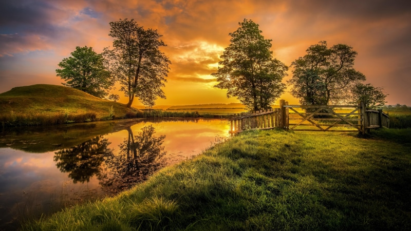 lake, sunlight, grass, water, beauty in nature, scenics - nature, oundle, reflection, 4K, peterborough, united kingdom, sunset, tree, land, gateway, morning