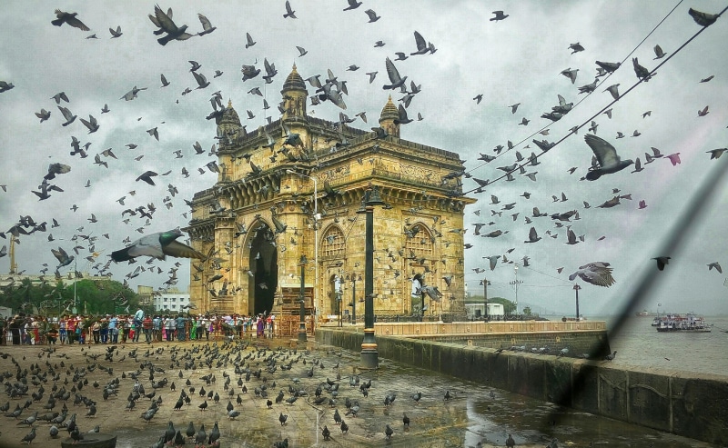 sky, animal wildlife, architecture, religion, bird, travel destinations, the past, animal, animals in the wild, gateway, mumbai, large group of animals