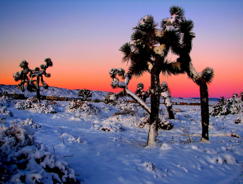antelope valley california, lovely, gateway, brown, lancaster california, deserts, landscape, vacationing, colors, 1080P, lancaster, trees, peach, traveling