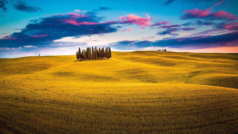 cypress, prairie, cloud, san quirico, horizon, 4K, landscape, grassland, rural area, rolling hills, sky, hill, morning, tuscany, cypresses, italy, field