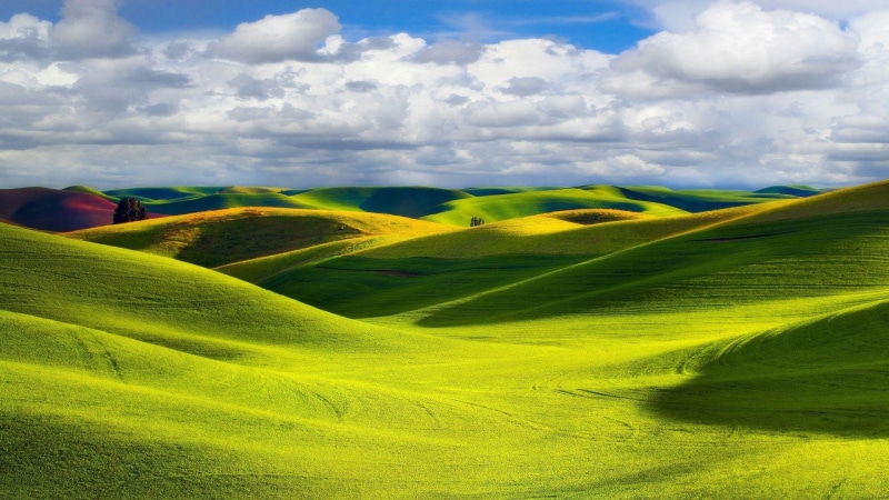 clouds, tranquility, land, scenics - nature, day, 1080P, cloud - sky, outdoors, field, green color, photography, trees, hill, idyllic, rural scene, colorful