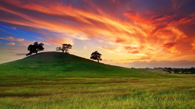 environment, 1080P, field, sky, grass, rolling landscape, nature, green color, sunset, land, no people, tranquility, outdoors, cloud - sky, nature hd  for pc download 1920x1080