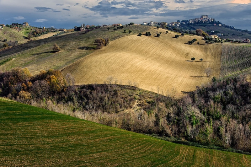 land, rolling landscape, 1080P, landscape, leafed, environment, beauty in nature, Italy, grass, rural scene, tree, farm, no people, day, field, nature