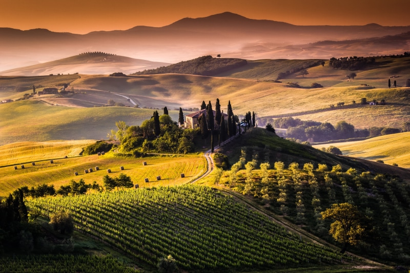 growth, mountain, house, beauty In Nature, rural Scene, green, the sun, grape, landscaped, tranquility, scenics, scenics - nature, mountain range, outdoors