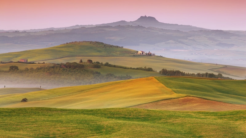 hill, green - golf course, tree, environment, no people, nature, non-urban scene, Italy, golf course, scenics - nature, grass, landscape, agriculture, plant