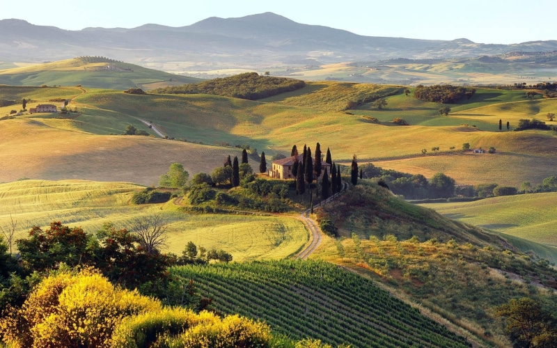 1080P, scenics, italian Cypress, tree, siena, scenics - nature, rural Scene, val dOrcia, painting, sky, meadow, non-Urban Scene, landscaped, montalcino