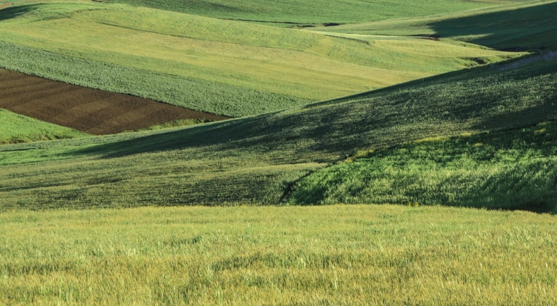 green color, green, board, field, landscape, beauty in nature, tranquility, wooden, idyllic, plant, grass, 720P, scenics - nature, day, no people, outdoors