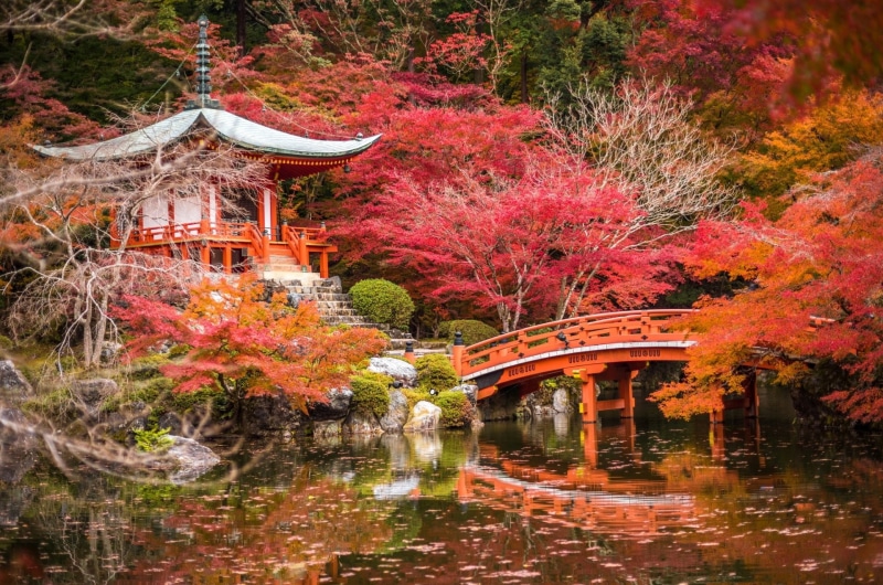 Japan, plant, 1080P, day, Temples, change, footbridge, lake, autumn, built structure, Park, Tree, Foliage, Pond, Japanese Garden, Bridge, architecture