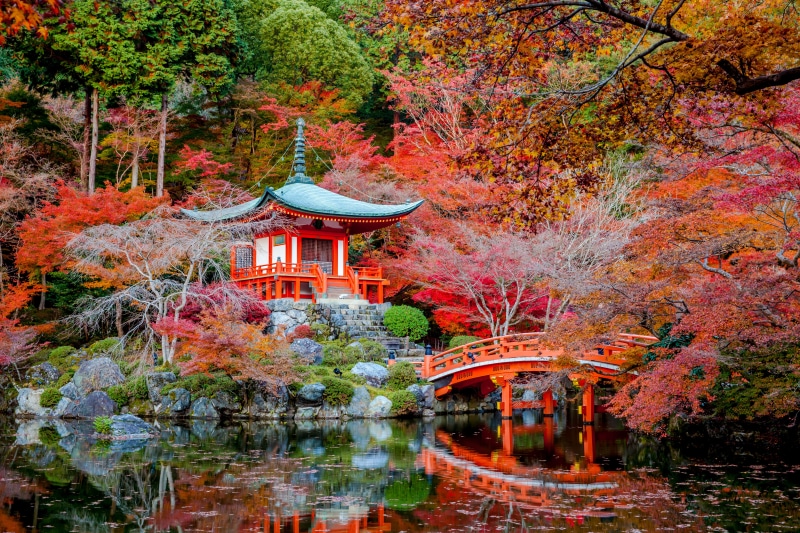 Daigo-ji, Japanese Garden, Shrine, Fall, 5K, Tree, Reflection, Temple, Temples, Bridge