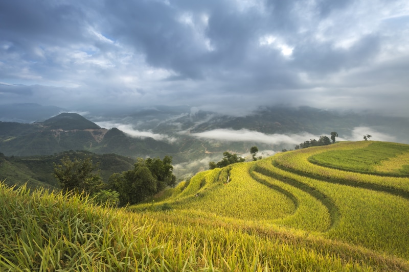 terraces, a village, rough, rain, beauty in nature, field, farm, man, mountain, outdoors, land, 8K, no people, minority, eco, sky, the cultivation, environmental conservation