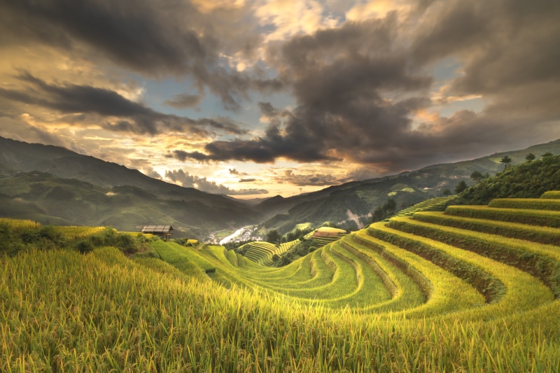 the floor, north west, growth, the tradition, tranquil scene, the work, women, plant, land, man, 5K, child, rice field, mountain, culture, farmer, grass