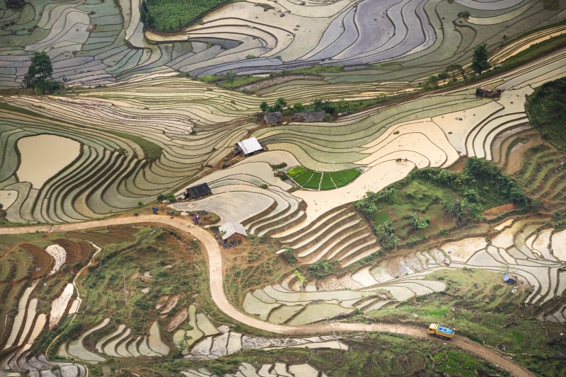 vietnam, rural scene, blind stretch comb, asia, yen bai, field, plantation, rice, outdoors, no people, scenery, step, harvest, terraced field, china, areal
