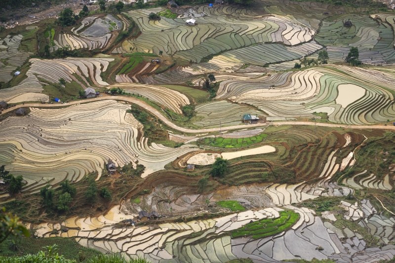 cultural, gardening, terrace, rice paddy, eco, blind stretch comb, feed, water, season, mountain, travel, farmer, environment, asia, photography, rural scene
