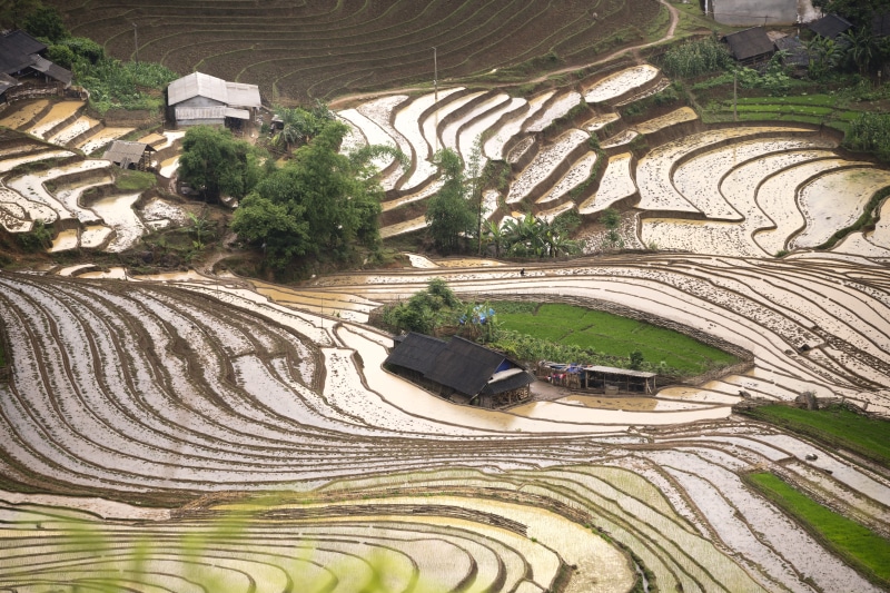 pattern, curve, rough, water, natural, eco, land, rice paddy, 8K, day, farm, building exterior, high angle view, architecture, agriculture, step, home