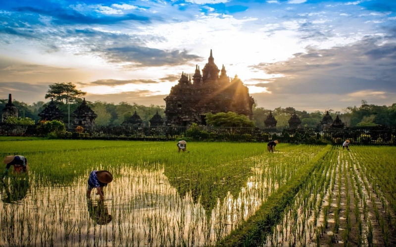 religion, water, the past, architecture, peasants, nature, Buddhism, concrete, outdoors, growth, workers, land, plant, scenics - nature, environment, building exterior