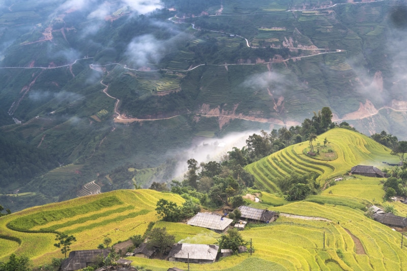 agriculture, no people, plantation, clouds, rice - cereal plant, environment, rice, class, natural, outdoors, harvest, village, the cultivation, vietnam