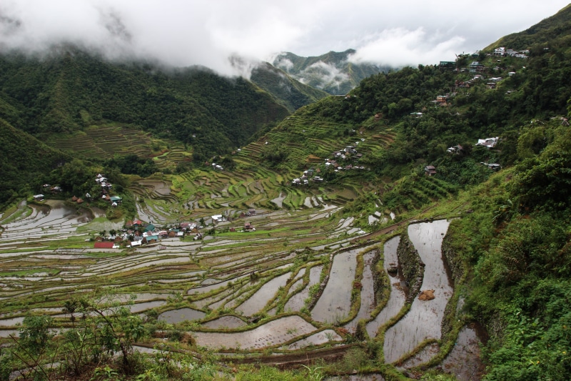 cloud - sky, scenics - nature, grassland, mountain, road, tranquility, view, sagada rice terraces, land, environment, day, terrace, growth, sagada, wide angle