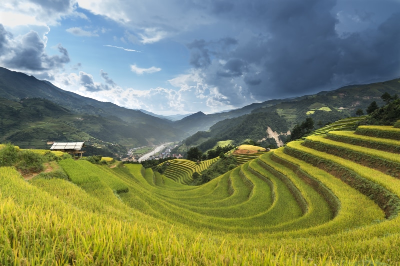 rice paddy, no people, kathy, outdoors, dawn, field, vietnam, farm, growth, 8K, mountain range, white, hoang suphi, beauty in nature, natural, rice field