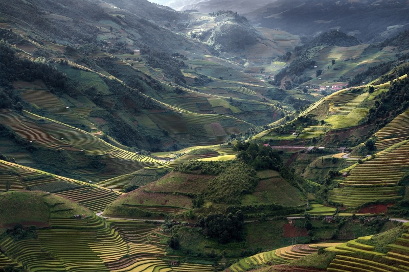 field, 1080P, mountains, trees, village, green, road, nature, terraces, landscape, sunlight, Vietnam, rice paddy