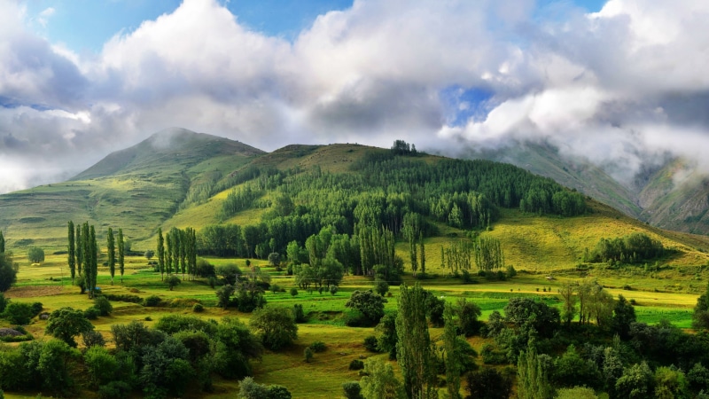wilderness, nature reserve, rural area, cloud, kackar mountains, cloudy, grass, hill, turkey, highland, 4K, mountain, cypress tree, cypresses, kackars